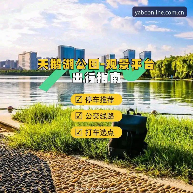 亚博APP功能 亚博体育平台功能全面解析:从下载到使用的完整指南